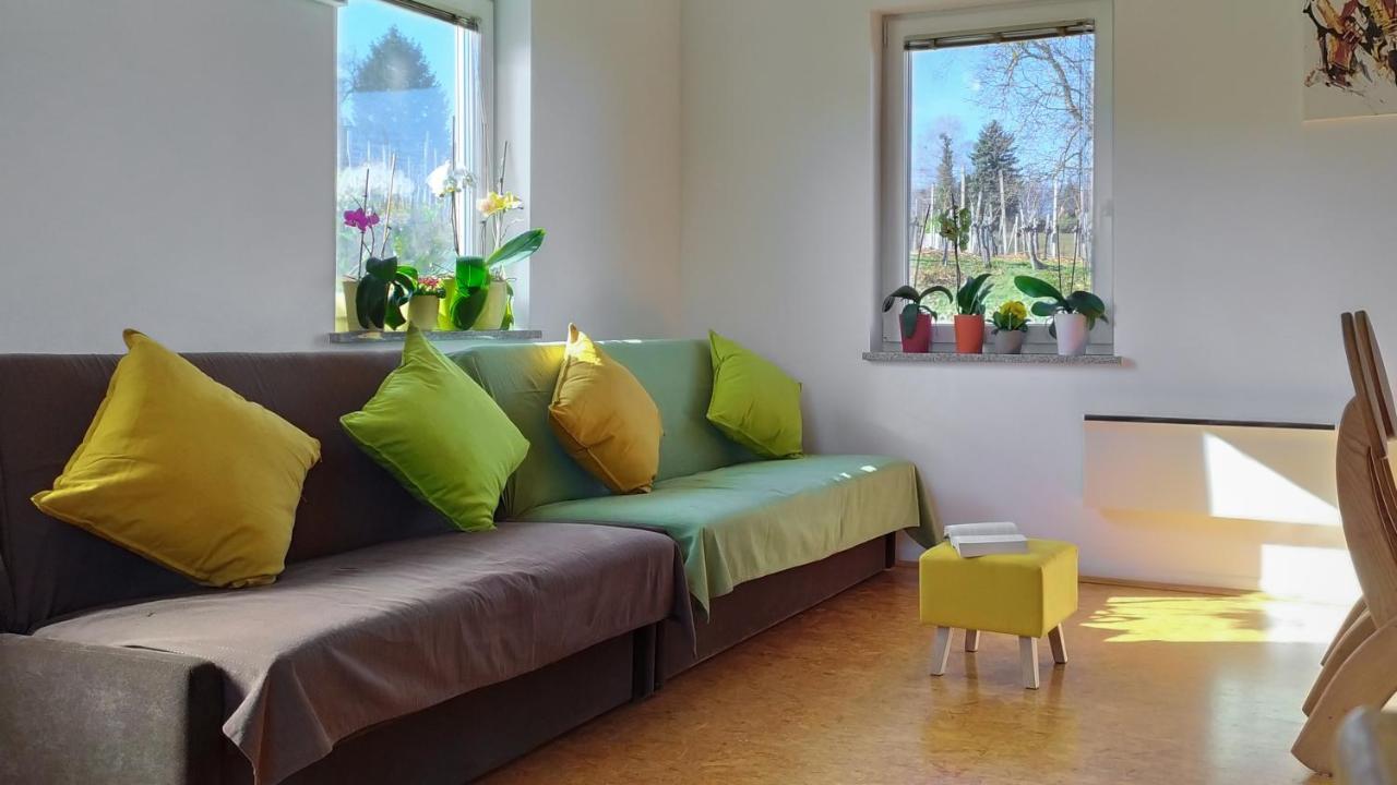 Vinska Trta Apartment