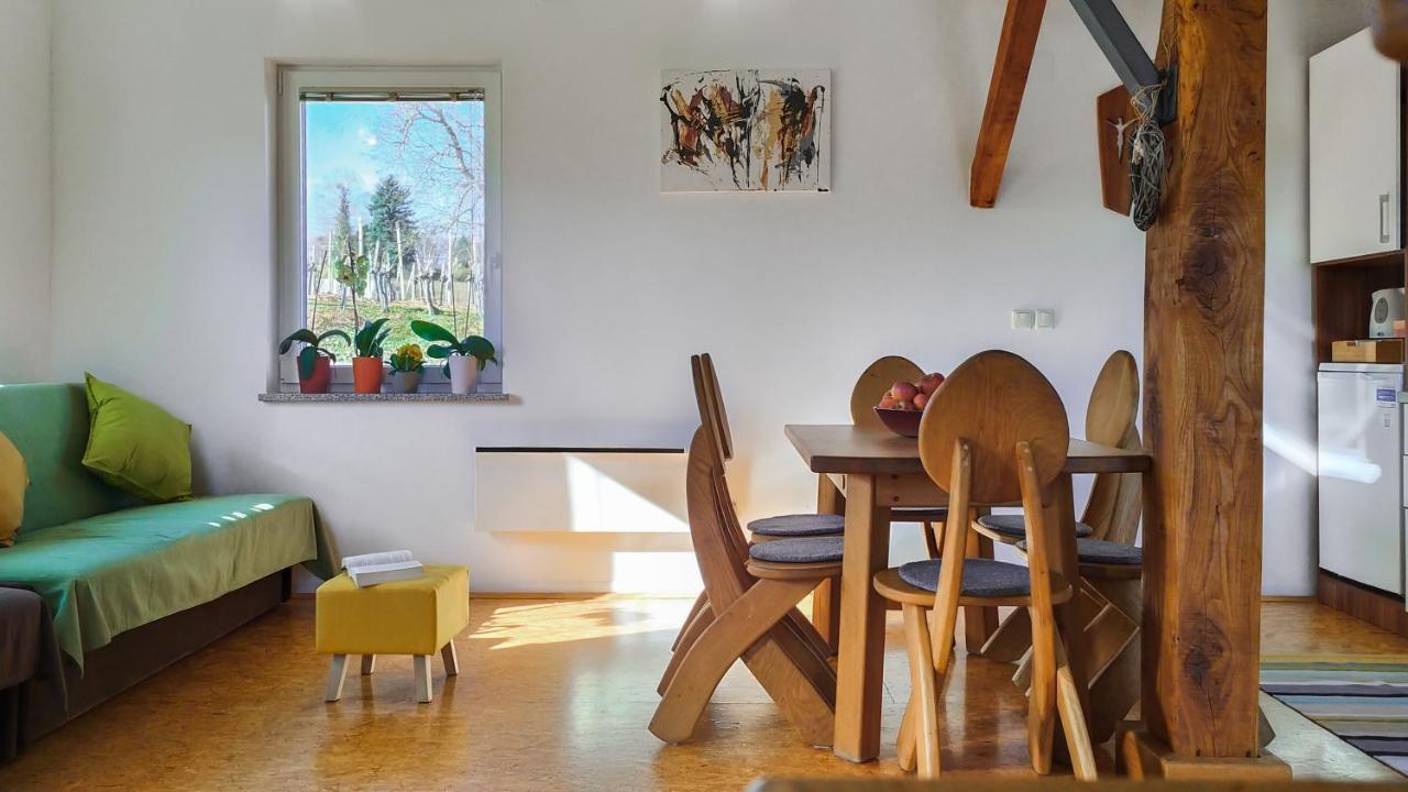 Apartment Vinska Trta Catez ob Savi