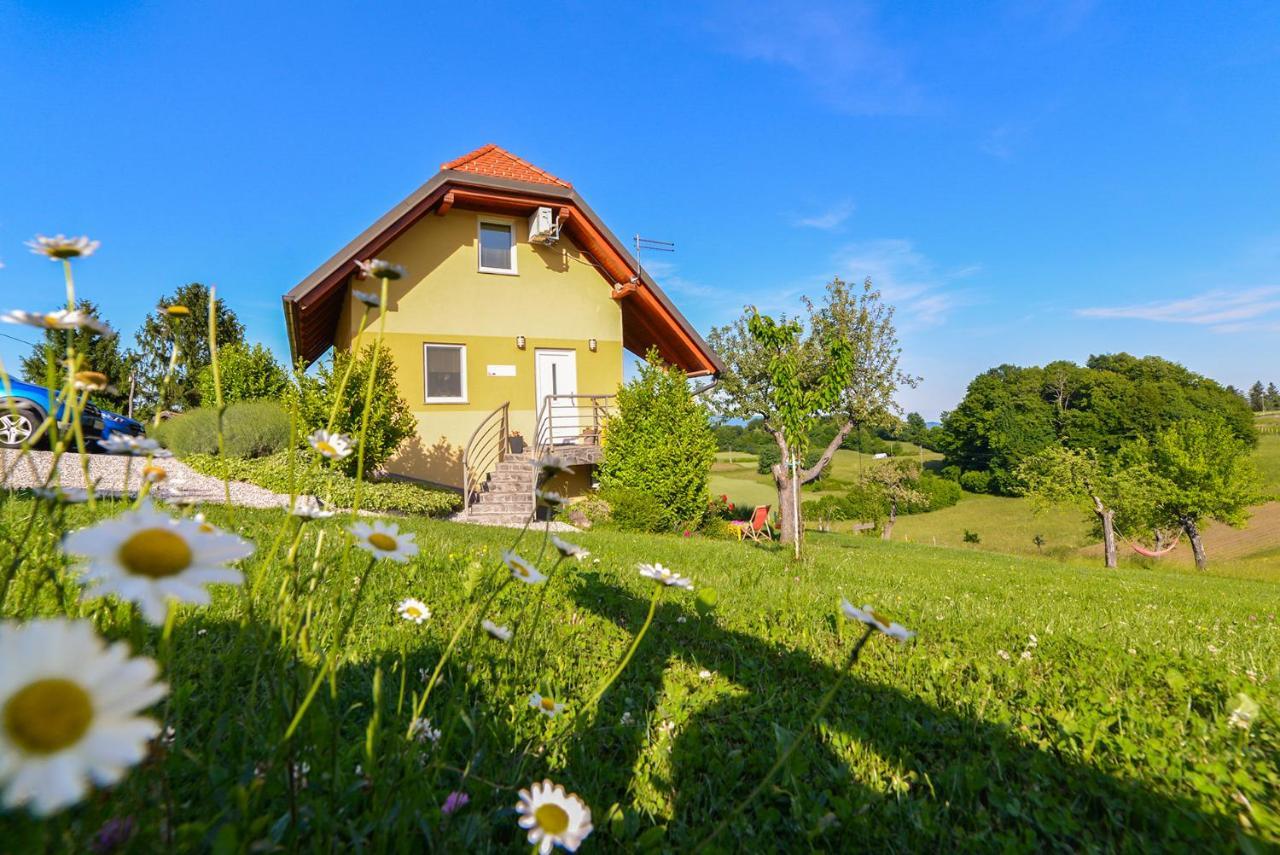 Apartment Vinska Trta *