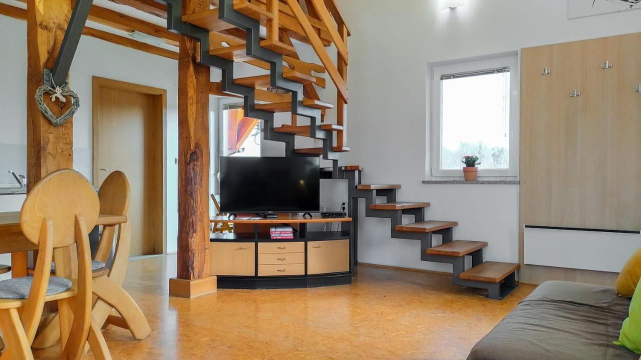 Vinska Trta Apartment Catez ob Savi