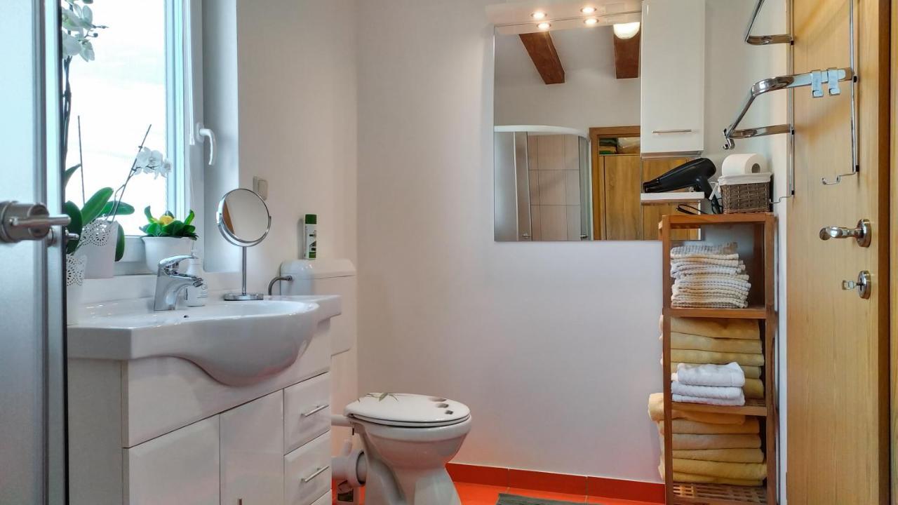 Vinska Trta Apartment *
