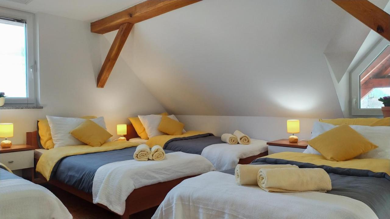 Apartment Vinska Trta *
