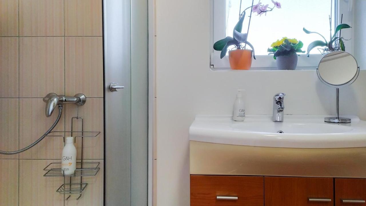 Apartment Vinska Trta